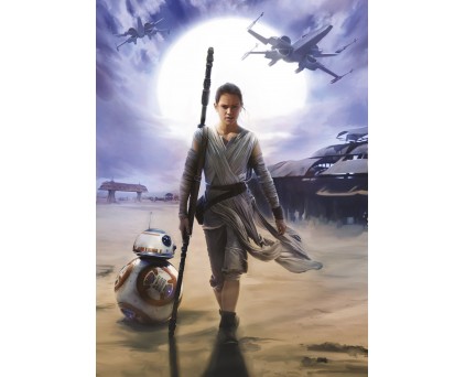 4-448 Фотообои Komar "STAR WARS Rey"